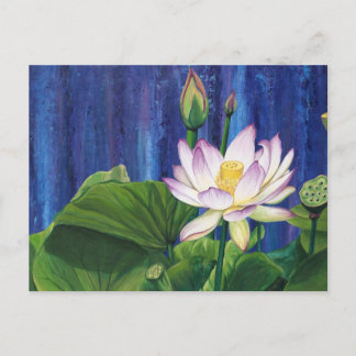 Postal Postcard de Lotus Dream