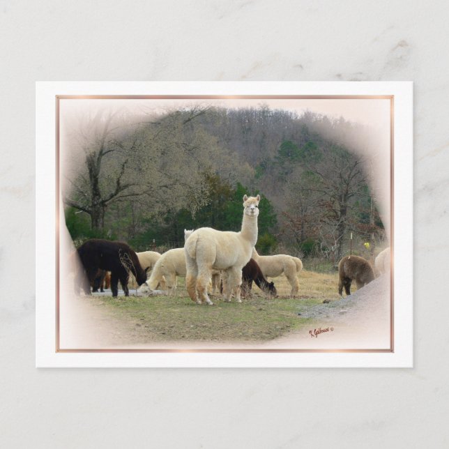 Postal Postcard de Madame Pompadour (Anverso)