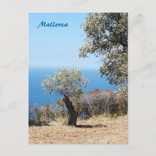 Postal Postcard de Mallorca (Anverso)