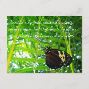 Postal Postcard de mariposa/presupuesto