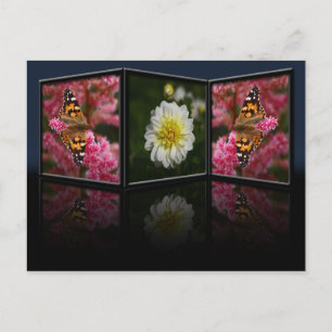 Postal Postcard de mariposa y dahlia