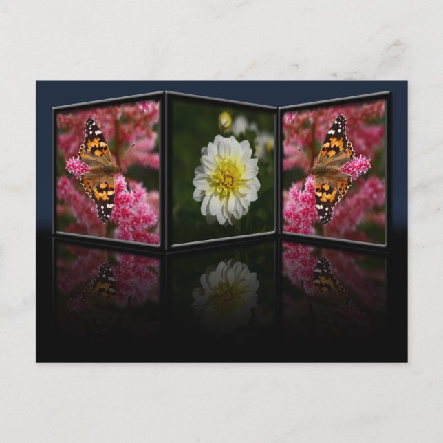 Postal Postcard de mariposa y dahlia (Anverso)