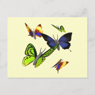Postal Postcard de mariposas