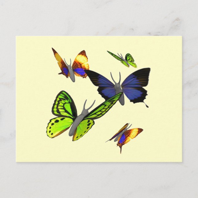 Postal Postcard de mariposas (Anverso)