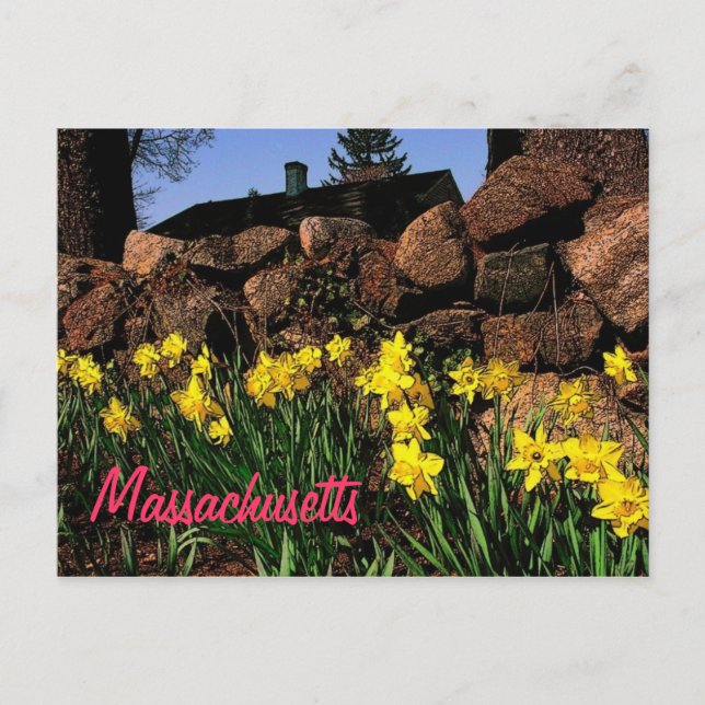 Postal Postcard de Massachusetts (Anverso)