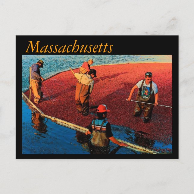Postal Postcard de Massachusetts (Anverso)
