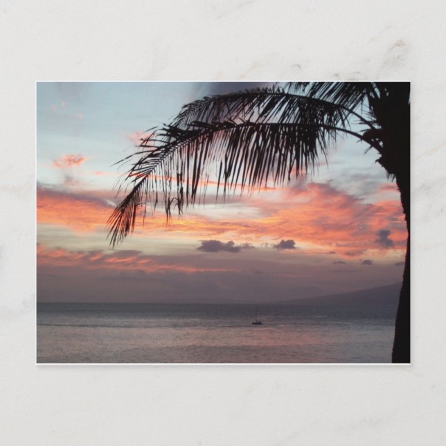 Postal Postcard de Maui Sunset (Anverso)