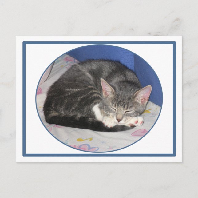 Postal Postcard de Mittens Kitten Nap (Anverso)