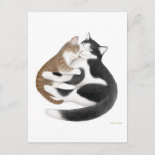 Postal Postcard de Momcat
