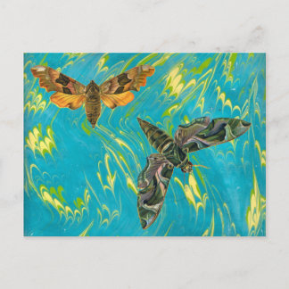 Postal Postcard de Moth Marble