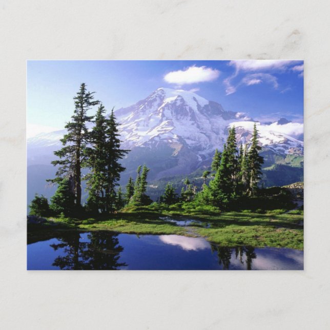 Postal Postcard de Mount Rainier (Anverso)