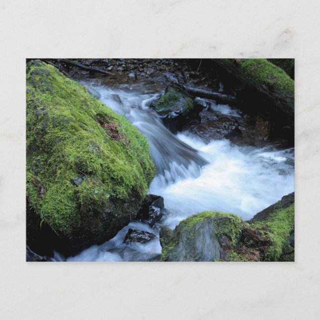 Postal Postcard de Munson Creek (Anverso)