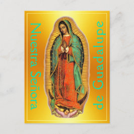 Postal Postcard de Nuestra Señora de Guadalupe