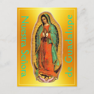 Postal Postcard de Nuestra Señora de Guadalupe
