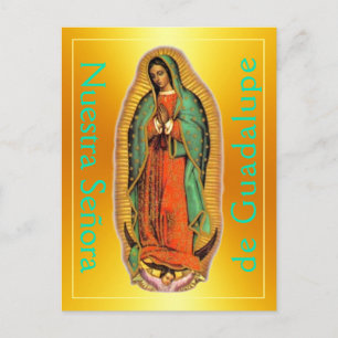 Postal Postcard de Nuestra Señora de Guadalupe