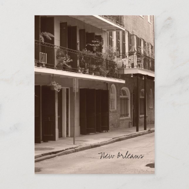 Postal Postcard de Nueva Orleans (Anverso)