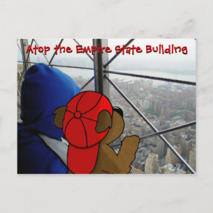Postal Postcard de NY 'La vista ondulante del oso'
