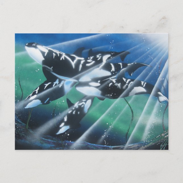 Postal Postcard de Orca (Anverso)