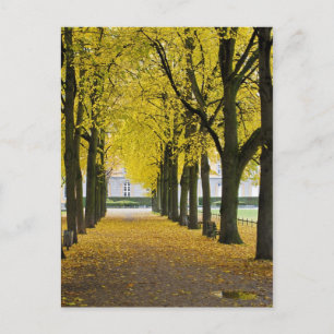 Postal Postcard de otoño