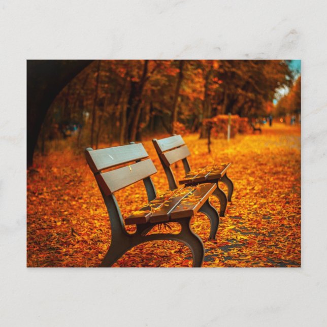 Postal Postcard de otoño (Anverso)