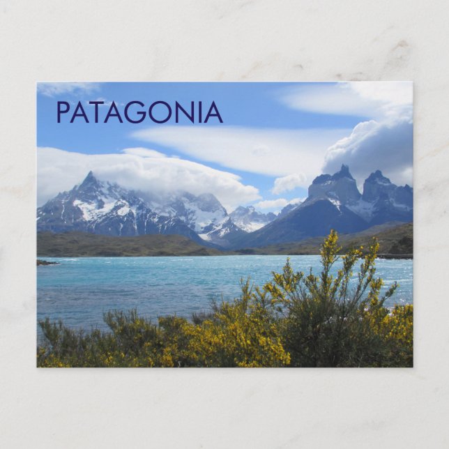 Postal Postcard de Patagonia Chile (Anverso)