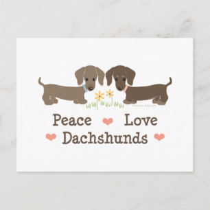 Postal Postcard de Peace Love Dachshunds
