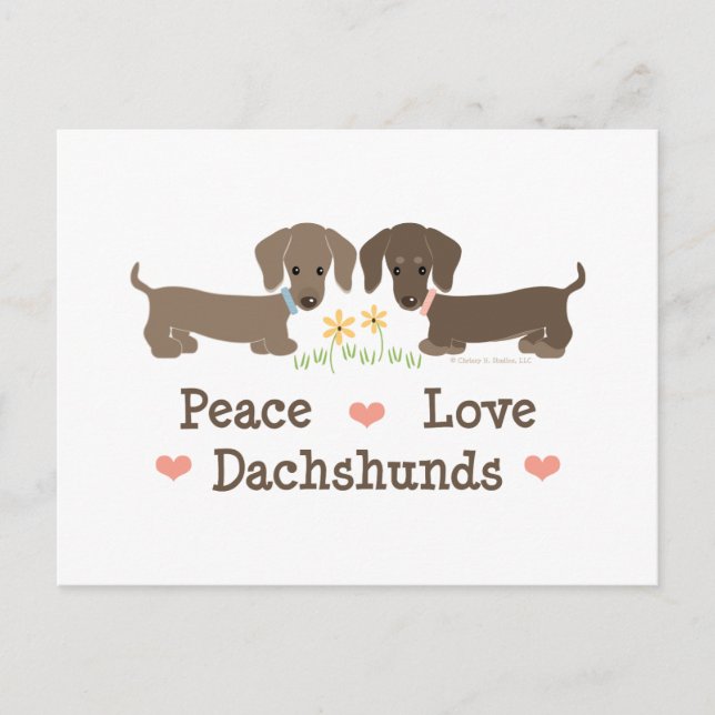 Postal Postcard de Peace Love Dachshunds (Anverso)