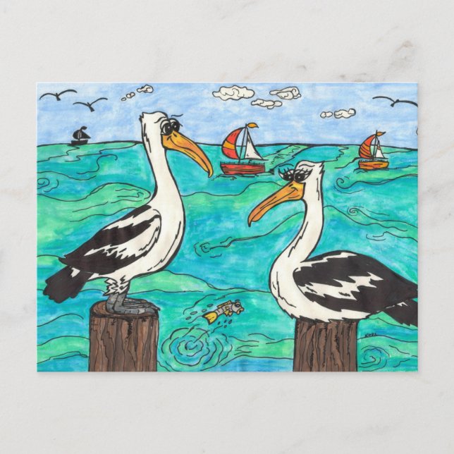 Postal Postcard de Pelicans (Anverso)