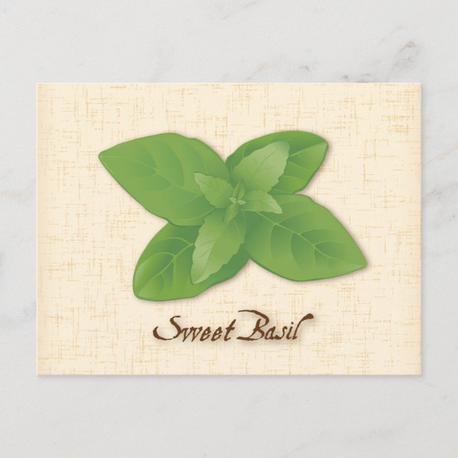 Postal Postcard de personalizar Sweet Basil (Anverso)