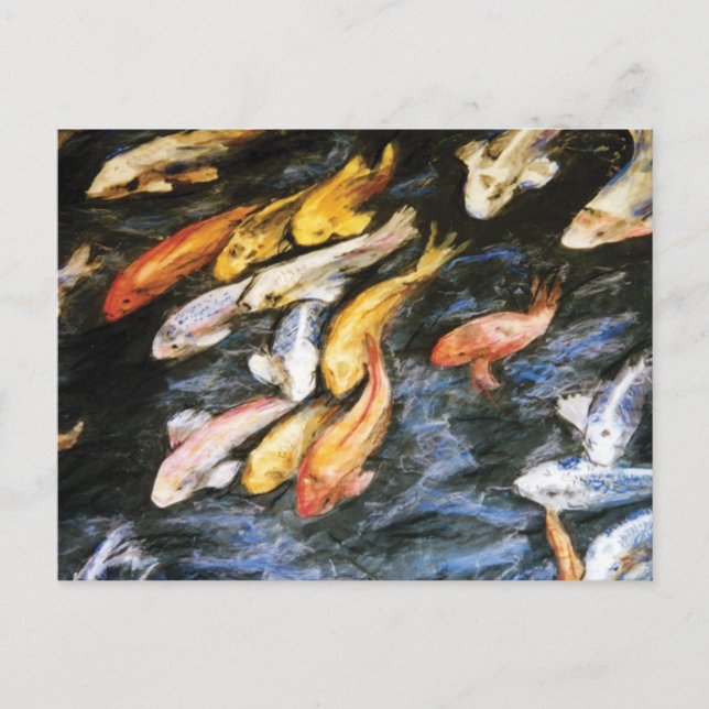 Postal Postcard de pescado de Koi (Anverso)