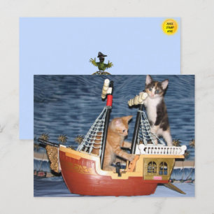 Postal Postcard de Pirate Kittens