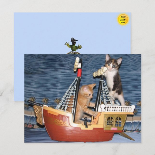 Postal Postcard de Pirate Kittens (Anverso / Reverso)