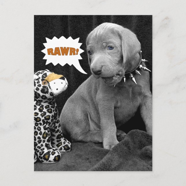 Postal Postcard de Rawr (Anverso)