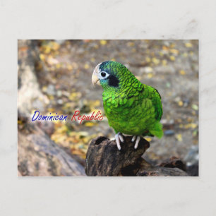 Postal PostCard de República Dominicana de loro