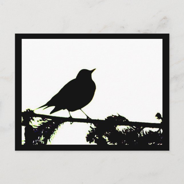 Postal Postcard de Robin Silhouette (Anverso)