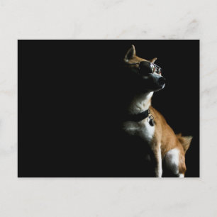 Postal Postcard de Saké Suave