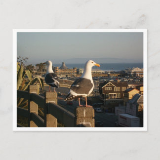 Postal Postcard de Santa Mónica