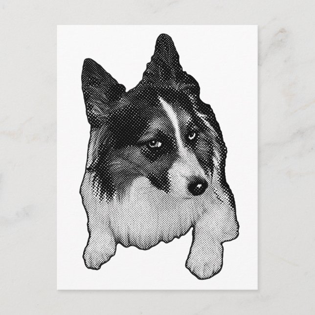 Postal Postcard de sendero de nieve (Anverso)