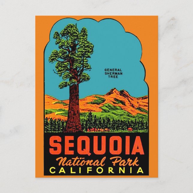 Postal Postcard de Sequoia National Park California (Anverso)