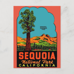 Postal Postcard de Sequoia National Park California