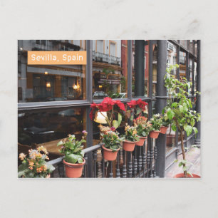 Postal Postcard de Sevilla