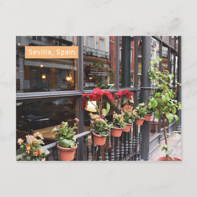 Postal Postcard de Sevilla