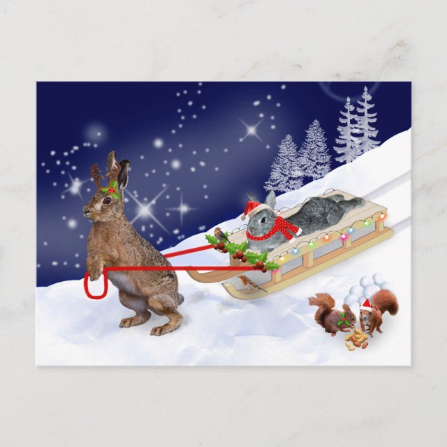 Postal Postcard de Sleigh Ride (Anverso)