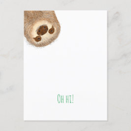 Postal Postcard de Stanley sloth 'oh hi!'
