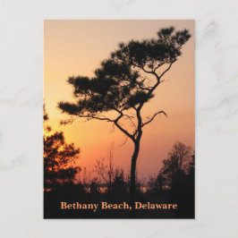 Postal Postcard de Sunset Bethany