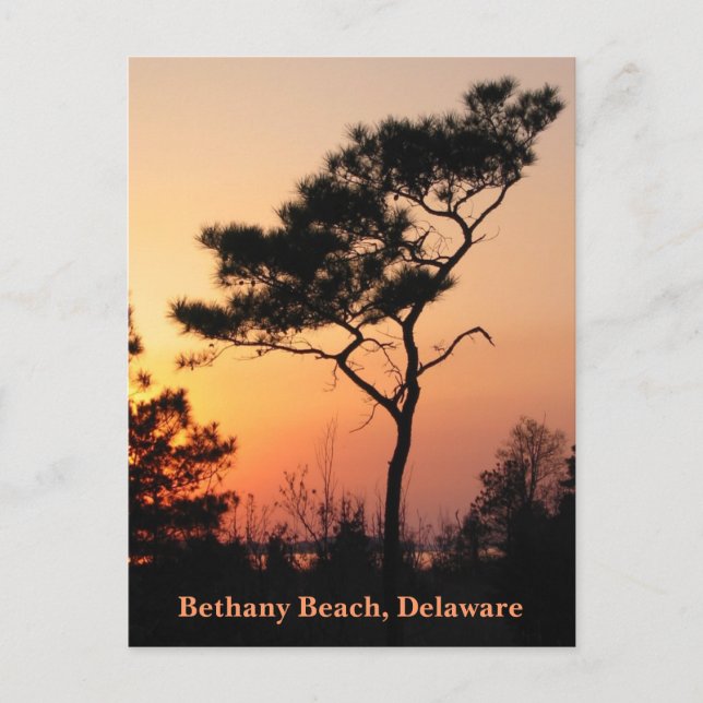 Postal Postcard de Sunset Bethany (Anverso)