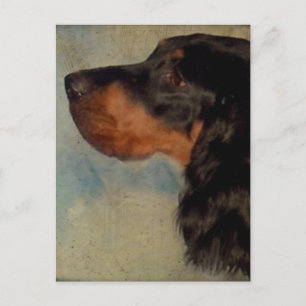 Postal Postcard de Sweet Gordon Setter