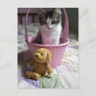 Postal Postcard de SweetieKitty