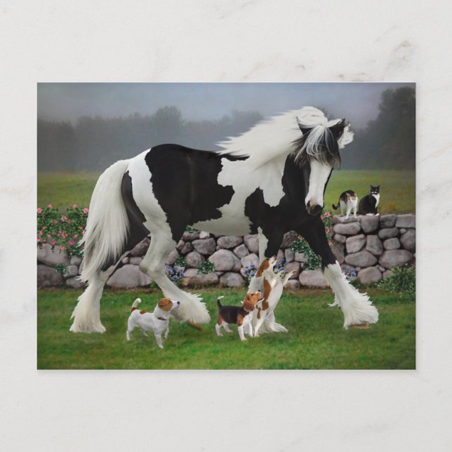 Postal Postcard de "Tamlin and the Pups" (Anverso)