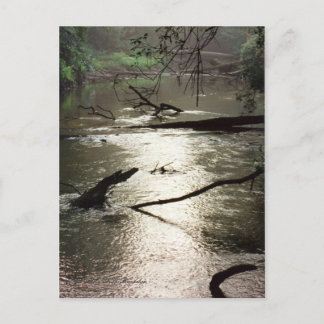 Postal Postcard de Tchefuncte Glimmer